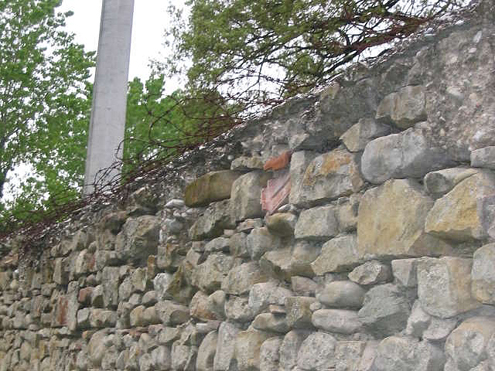 wall1_sm.jpg