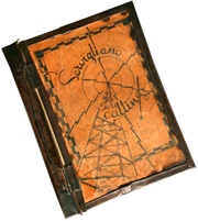 dickinson_diary_angle_2001