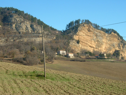 palmonihome2_r200