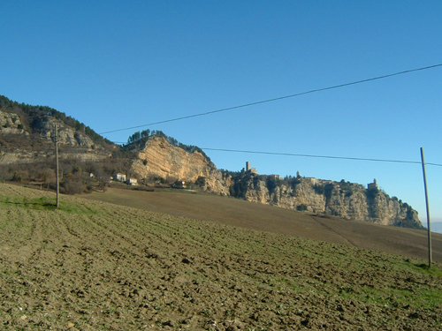 palmoni-montefalcone_r200