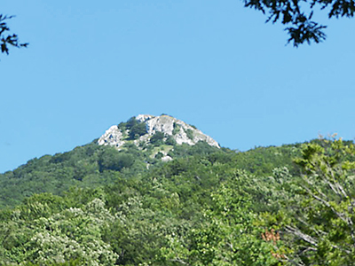 mount-accellica_r72