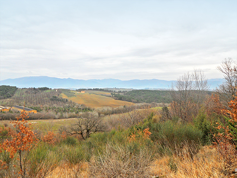 edwards-landscape_r72