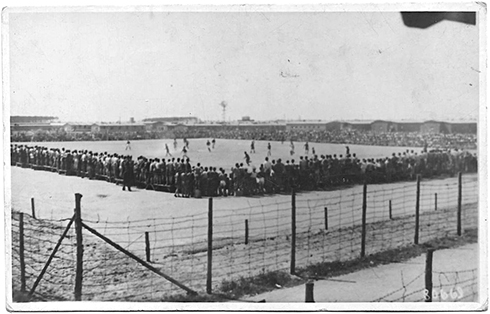 stoltz-enclosure_r72